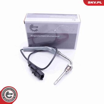 Capteur, température des gaz ESEN SKV 30SKV175