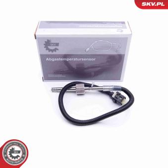 Capteur, température des gaz ESEN SKV 30SKV197 pour VOLKSWAGEN POLO 515 CDI - 150cv