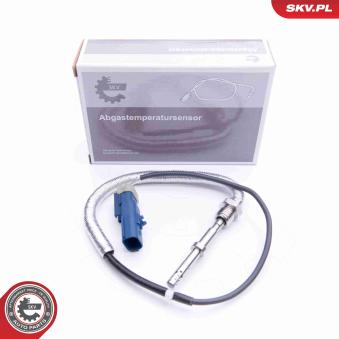 Capteur, température des gaz ESEN SKV 30SKV200