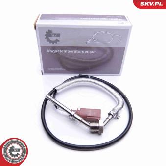Capteur, température des gaz ESEN SKV 30SKV214