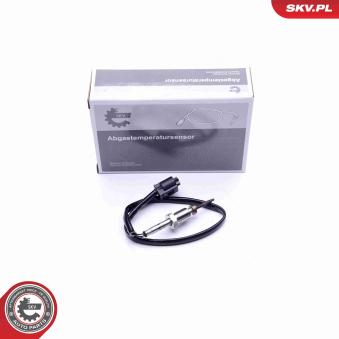 Capteur, température des gaz ESEN SKV 30SKV231 pour BMW Série 7 730 d - 211cv