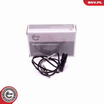 Capteur, température des gaz ESEN SKV 30SKV298
