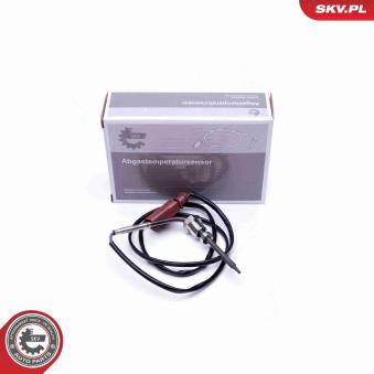 Capteur, température des gaz ESEN SKV 30SKV301