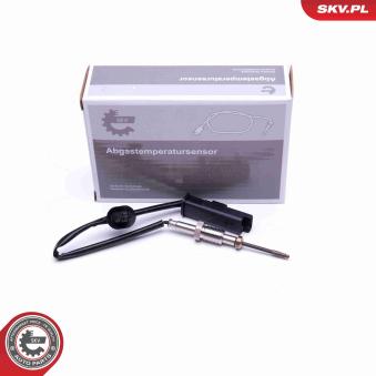 Capteur, température des gaz ESEN SKV 30SKV318
