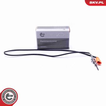 Capteur, température des gaz ESEN SKV [30SKV375]