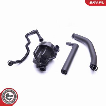 Kit de réparation, ventilation du carter-moteur ESEN SKV [31SKV099]