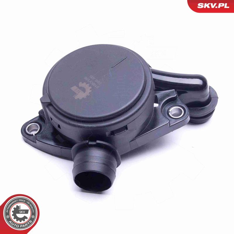 Soupape, dégazage du carter ESEN SKV 31SKV156 - Visuel 1