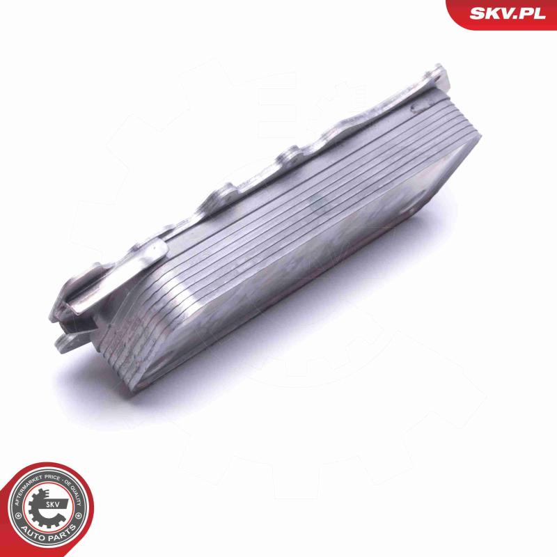 Radiateur d'huile ESEN SKV 31SKV217 - Visuel 2
