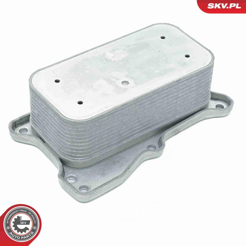 Radiateur d'huile ESEN SKV 31SKV219 - Visuel 1