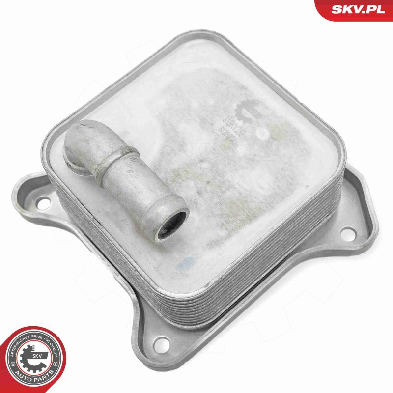 Radiateur d'huile ESEN SKV 31SKV289 - Visuel 1