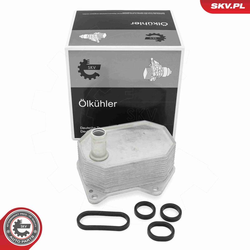 Radiateur d'huile ESEN SKV 31SKV304 - Visuel 2