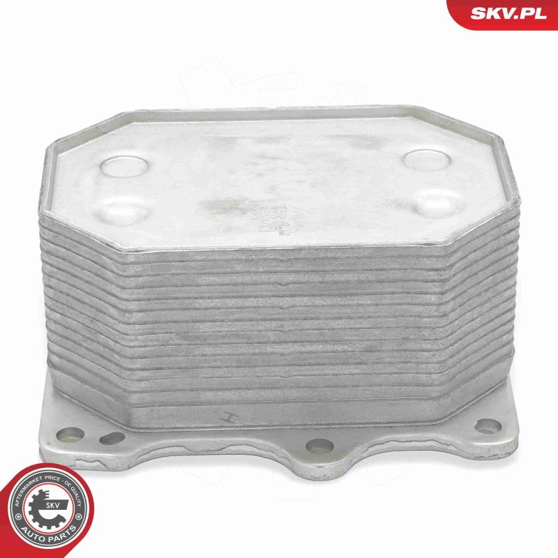 Radiateur d'huile ESEN SKV 31SKV337 - Visuel 2