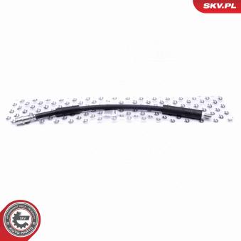 Flexible de frein ESEN SKV OEM 2204200048