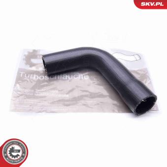 Gaine de suralimentation ESEN SKV 43SKV038 pour RENAULT MEGANE 1.9 DCI - 102cv