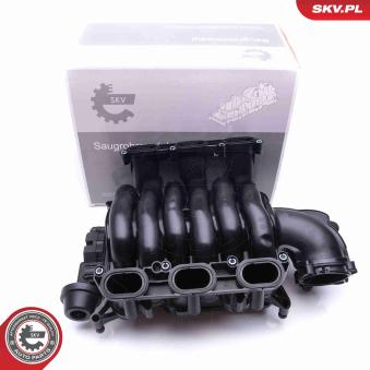 Module de tube d'admission ESEN SKV [49SKV004]