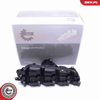 Module de tube d'admission ESEN SKV 49SKV007 pour LANCIA DELTA 2.0 TDI - 110cv