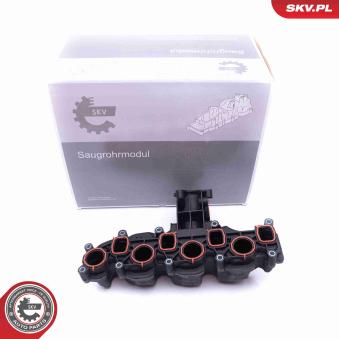 Module de tube d'admission ESEN SKV OEM 03L129711AL