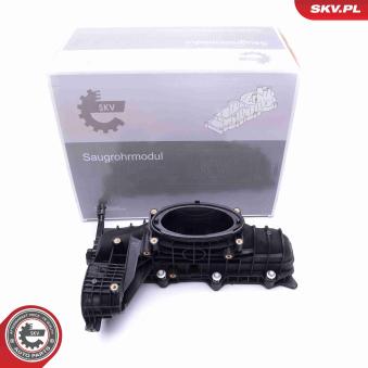 Module de tube d'admission ESEN SKV [49SKV014]