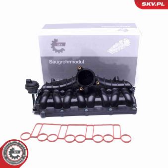 Module de tube d'admission ESEN SKV [49SKV036]