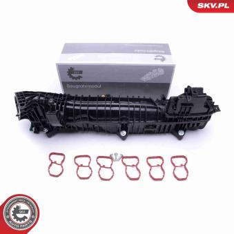 Module de tube d'admission ESEN SKV [49SKV039]