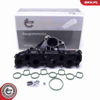 Module de tube d'admission ESEN SKV [49SKV041]