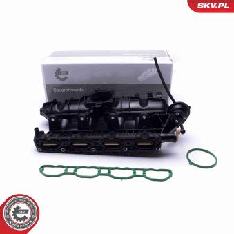 Module de tube d'admission ESEN SKV [49SKV059]