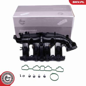 Module de tube d'admission ESEN SKV [49SKV076]