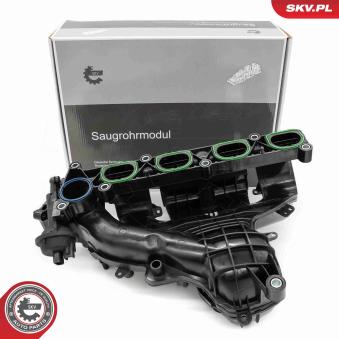 Module de tube d'admission ESEN SKV [49SKV085]