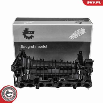 Module de tube d'admission ESEN SKV [49SKV094]