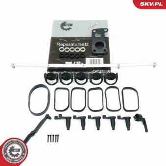 Kit de réparation, module de tube d'aspiration ESEN SKV [49SKV506]