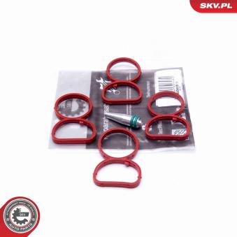 Kit de réparation, module de tube d'aspiration ESEN SKV 49SKV513 pour MERCEDES-BENZ CLASSE M xDrive 18 d - 136cv Kit de réparation, module de tube d'aspiration ESEN SKV 49SKV513 pour MERCEDES-BENZ CLASSE M xDrive 18 d - 136cv