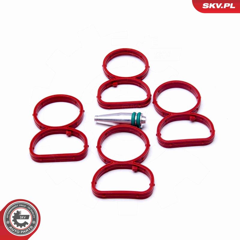 Kit de réparation, module de tube d'aspiration ESEN SKV 49SKV513 - Visuel 1