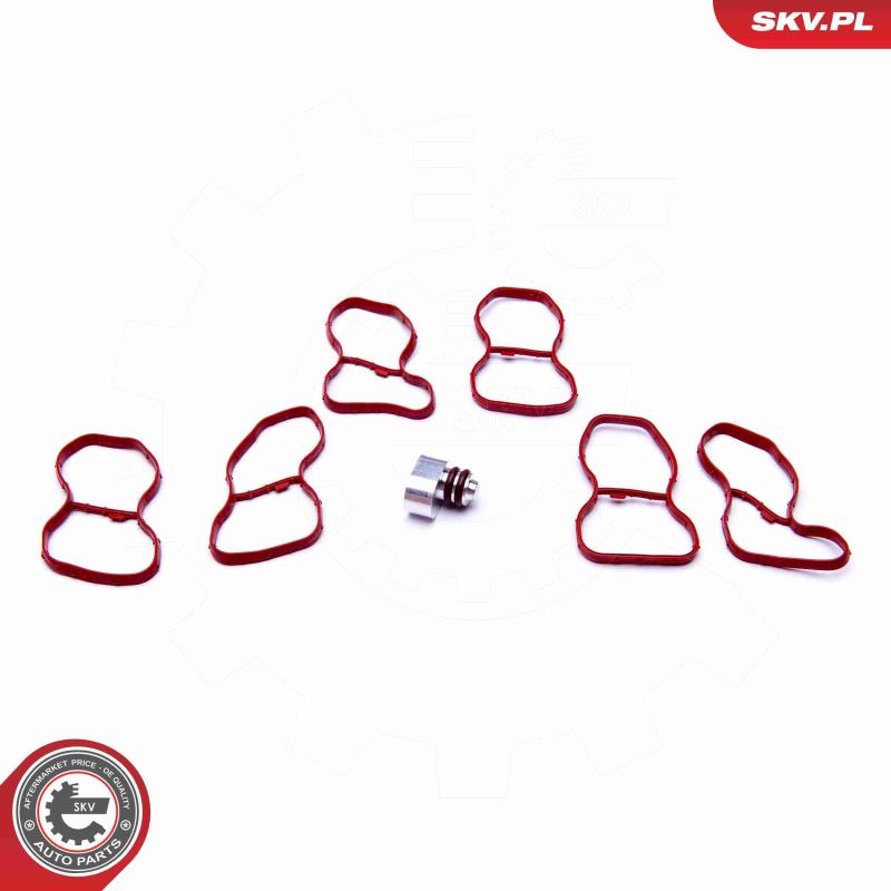 Kit de réparation, module de tube d'aspiration ESEN SKV 49SKV516 - Visuel 1