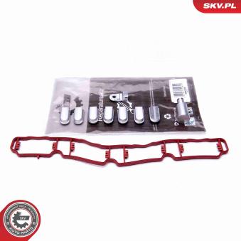 Kit de réparation, module de tube d'aspiration ESEN SKV 49SKV521 pour VOLKSWAGEN PASSAT 1.8 TSI - 160cv Kit de réparation, module de tube d'aspiration ESEN SKV 49SKV521 pour VOLKSWAGEN PASSAT 1.8 TSI - 160cv