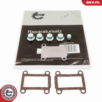 Kit de réparation, module de tube d'aspiration ESEN SKV 49SKV525 pour OPEL ASTRA 1.9 CDTI - 150cv Kit de réparation, module de tube d'aspiration ESEN SKV 49SKV525 pour OPEL ASTRA 1.9 CDTI - 150cv