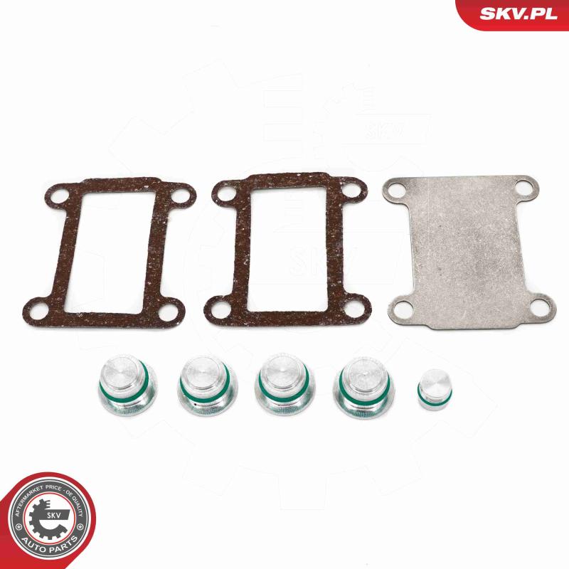 Kit de réparation, module de tube d'aspiration ESEN SKV 49SKV525 - Visuel 1