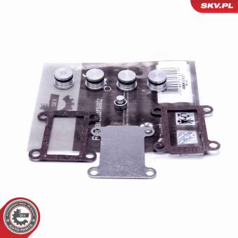 Kit de réparation, module de tube d'aspiration ESEN SKV 49SKV527 pour OPEL ASTRA 1.9 CDTI - 150cv Kit de réparation, module de tube d'aspiration ESEN SKV 49SKV527 pour OPEL ASTRA 1.9 CDTI - 150cv