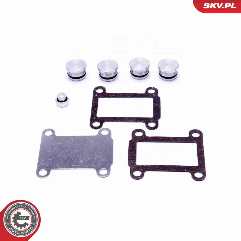 Kit de réparation, module de tube d'aspiration ESEN SKV 49SKV527 - Visuel 1
