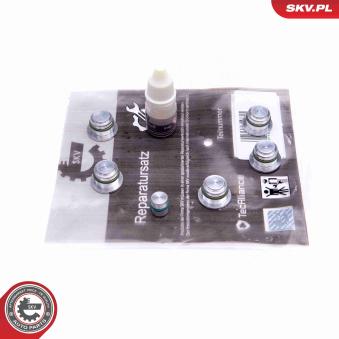 Kit de réparation, module de tube d'aspiration ESEN SKV OEM 55206466