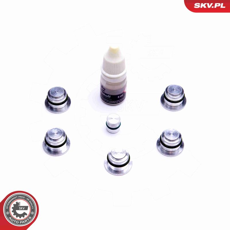 Kit de réparation, module de tube d'aspiration ESEN SKV 49SKV533 - Visuel 1