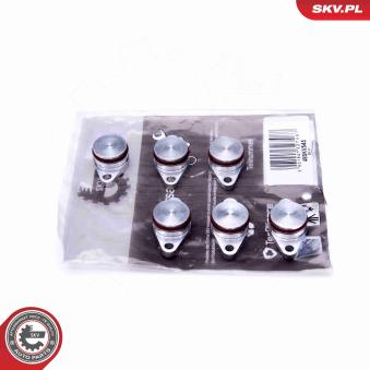 Kit de réparation, module de tube d'aspiration ESEN SKV 49SKV545 pour BMW Série 7 730 dL - 231cv Kit de réparation, module de tube d'aspiration ESEN SKV 49SKV545 pour BMW Série 7 730 dL - 231cv