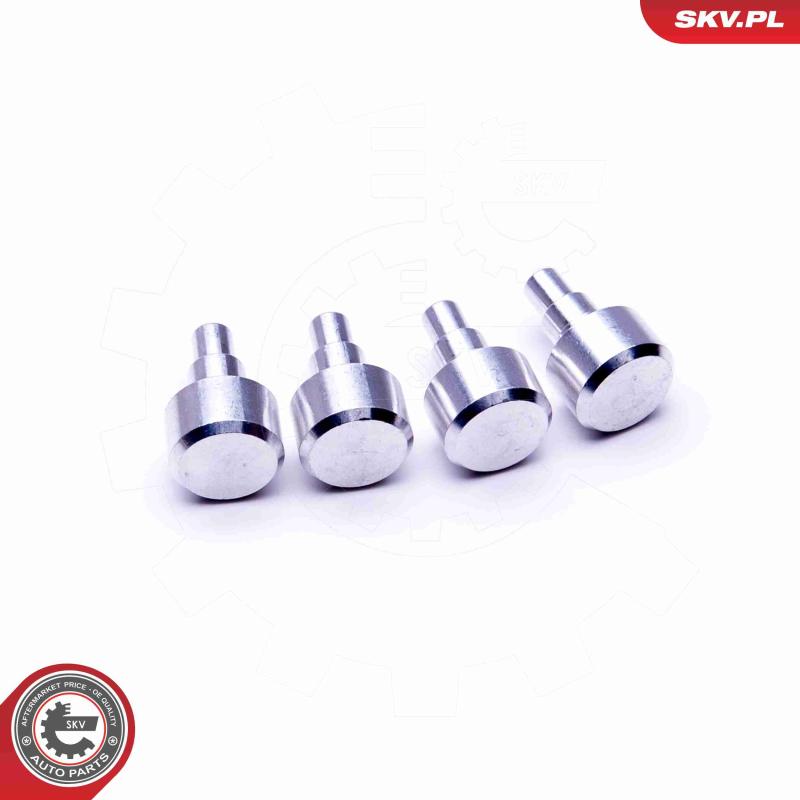 Kit de réparation, module de tube d'aspiration ESEN SKV 49SKV547 - Visuel 1