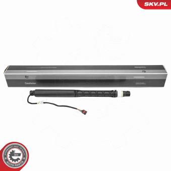 Moteur électrique, hayon arrière droit ESEN SKV [52SKV214]