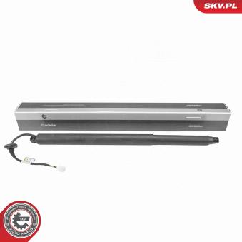 Moteur électrique, hayon arrière gauche ESEN SKV [52SKV233]