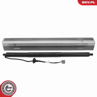 Moteur électrique, hayon arrière droit ESEN SKV [52SKV243]