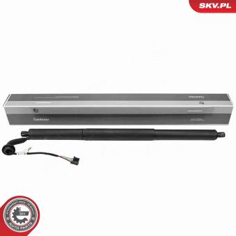 Moteur électrique, hayon arrière gauche ESEN SKV [52SKV258]