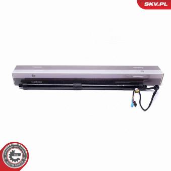 Moteur électrique, hayon ESEN SKV [52SKV906]