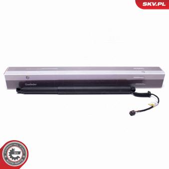 Moteur électrique, hayon ESEN SKV OEM 81770C5100