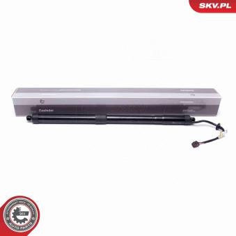 Moteur électrique, hayon arrière droit ESEN SKV OEM 81780B8100