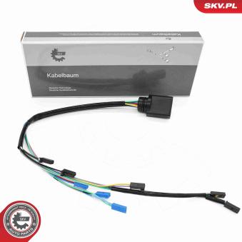 Valve de commande, boîte automatique ESEN SKV 53SKV027 pour CITROEN XANTIA 1.4 FSI - 90cv